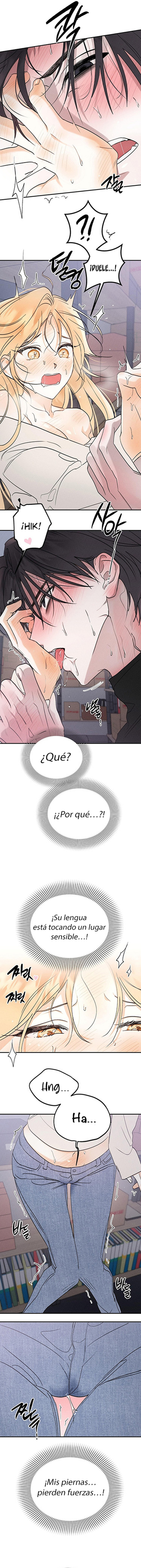 Imagen del capítulo 13